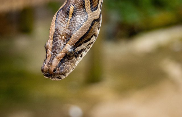 Résumé du langage Python 3